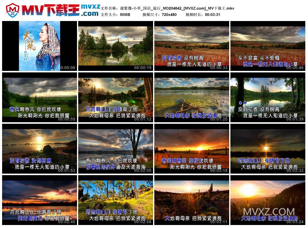 蒲紫微-小草_国语_流行_MD204842